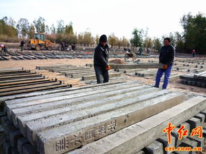 甘州區黑水國遺址保護設施建設加速推進，歷史文化傳承與工程進度并重